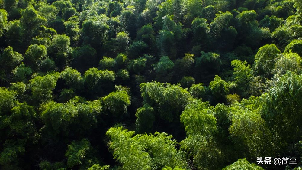 重庆北碚三圣镇老街,重庆三圣老街全景图