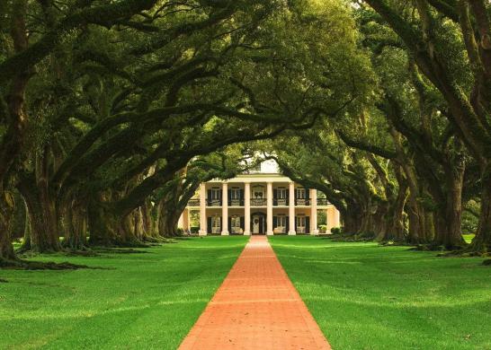 中海橡树园二期园林,中海橡树园评价