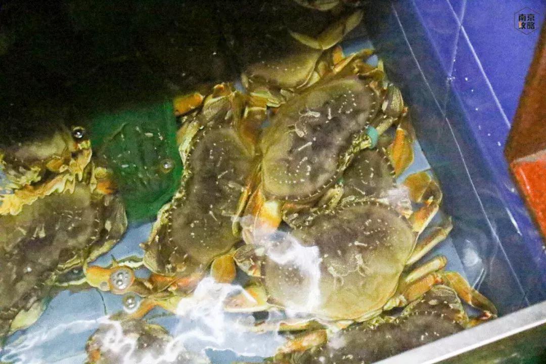 众彩物流公司年货,众彩物流年货大集