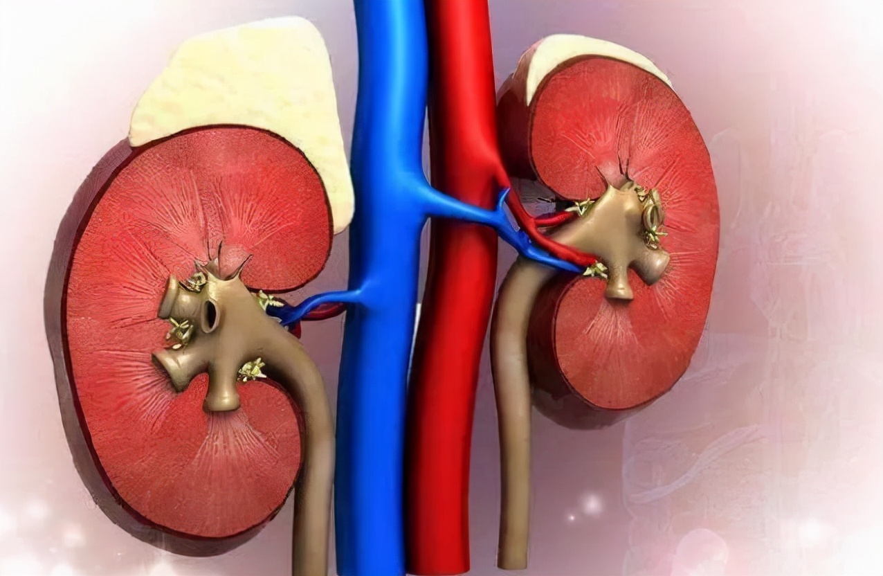 28岁青岛小伙，每天服用“六味地黄丸”补肾，身体出现了哪些变化