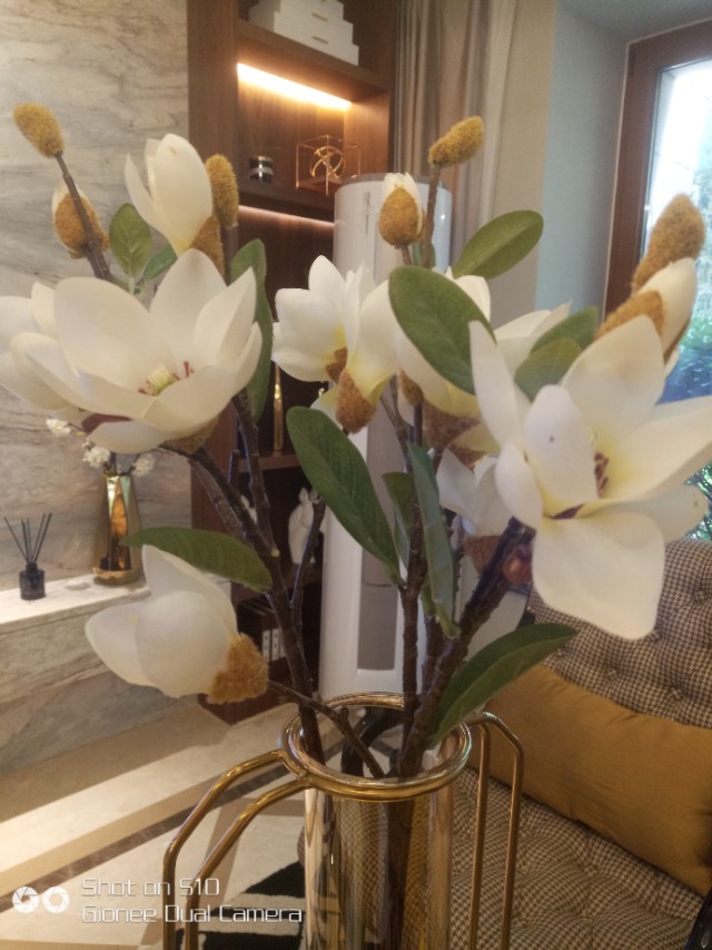 母亲节一束康乃馨,母亲节里的康乃馨图片