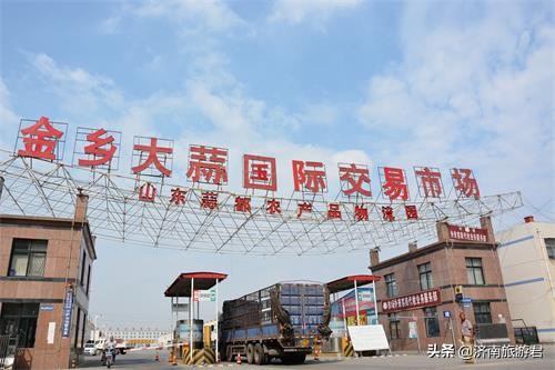 疫情当前，才认清了大蒜之乡是哪里？