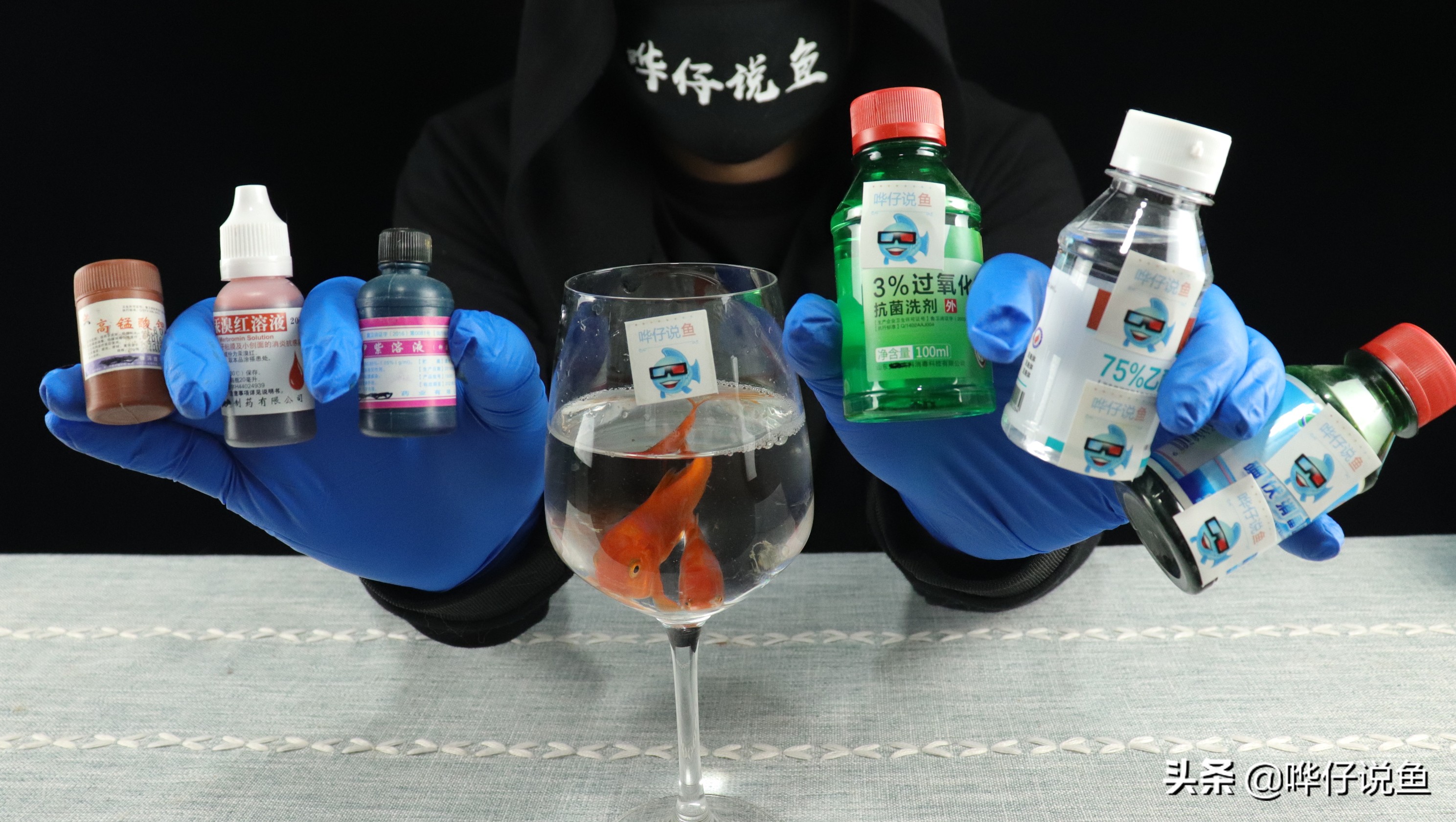 观赏鱼之怪现象：一条鱼有病，一缸鱼跟着一起吃药，闹着玩儿呢？