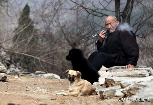 父不入子宅是什么意思,官不入民宅父不进子房有什么讲究