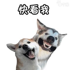 姓名学大数据,姓名查询全国系统