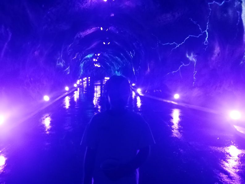 洛阳栾川竹海野生动物园值得去吗,洛阳栾川竹海野生动物园都有什么