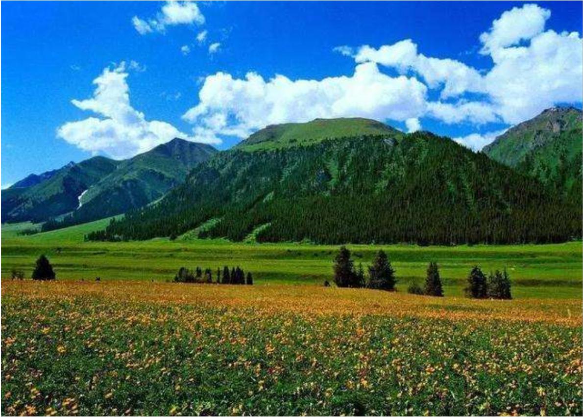 尼勒克县在天山脚下,尼勒克县离天山有多远