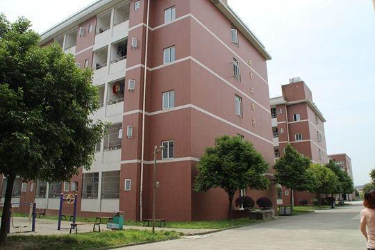 卫校3+2和3有什么区别,卫校3+2算不算专科