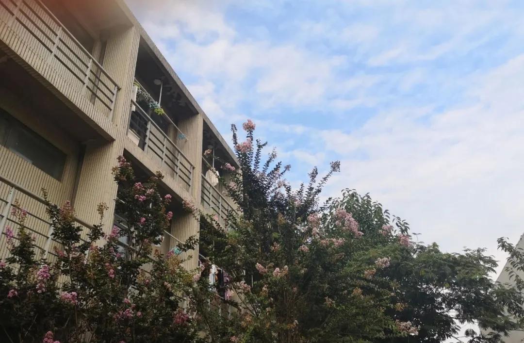 九大美院校园风景,中国九大美院校园风采