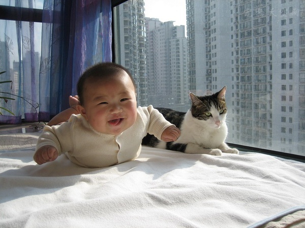 怀孕养宠危害大吗,为什么医生都不建议怀孕后养宠物