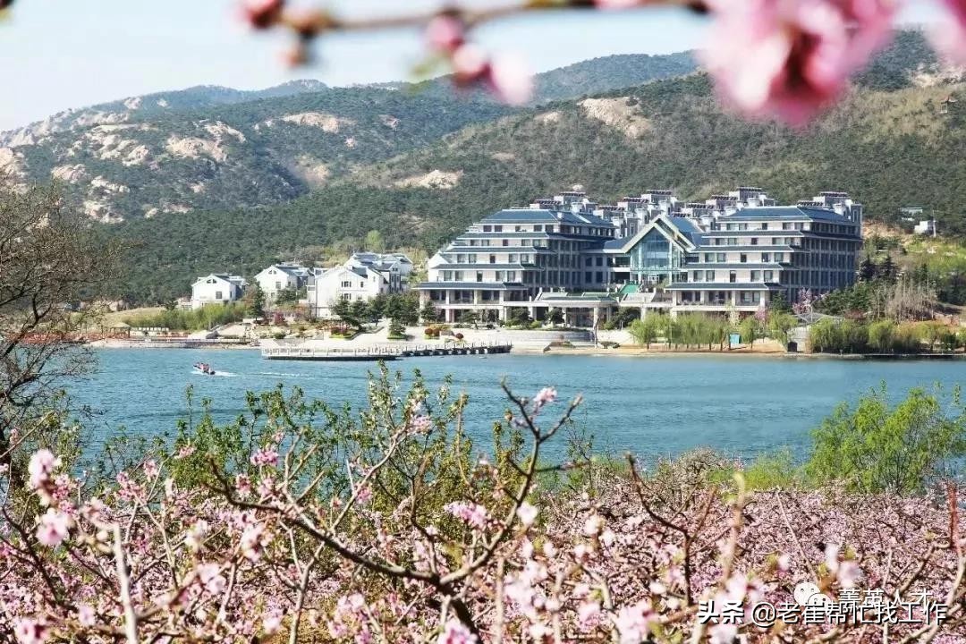 日照营销总监招聘,日照老城区销售业务招聘