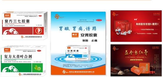 延安必康药品,药品上市许可持有