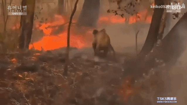 15岁怀孕，她被骗吃下*药炸**，一尸两命：有些人，这辈子不配为人