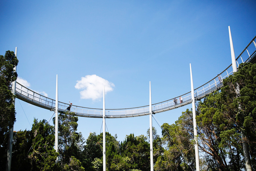 在马来西亚感受集市的乐趣,在马来西亚体验纽西兰