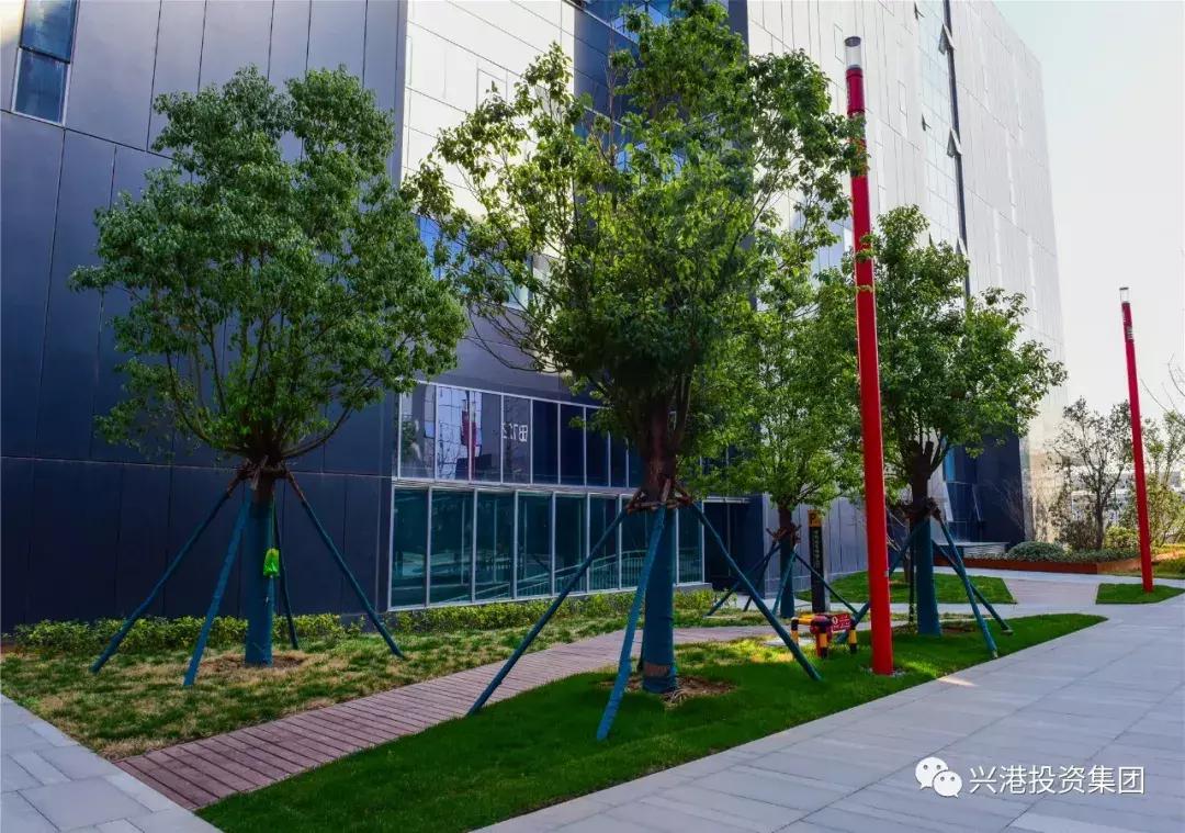 探访数字化工厂感受中国智造魅力,探秘产业园区