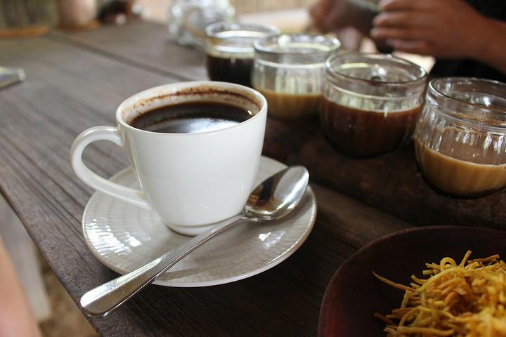 猫屎咖啡历史真相,猫屎咖啡背后的残忍