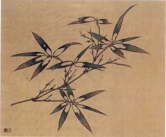 竹子的画法工笔画,竹子画法工笔画