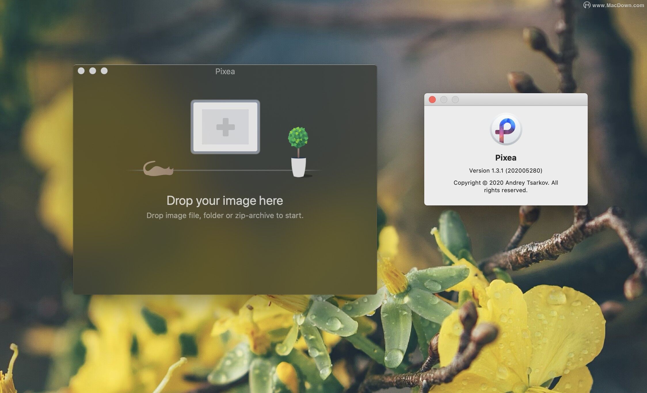macos看图软件,mac系统最好用的看图软件