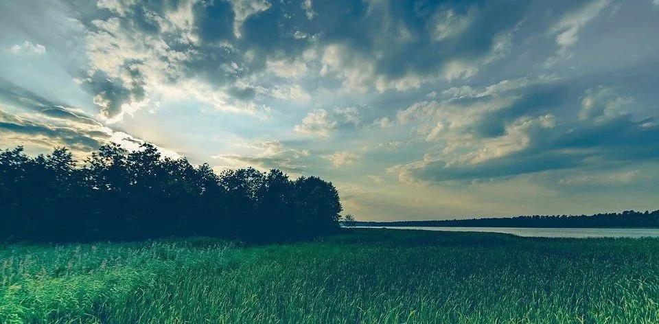 团贷网四月,团贷网4月最新消息