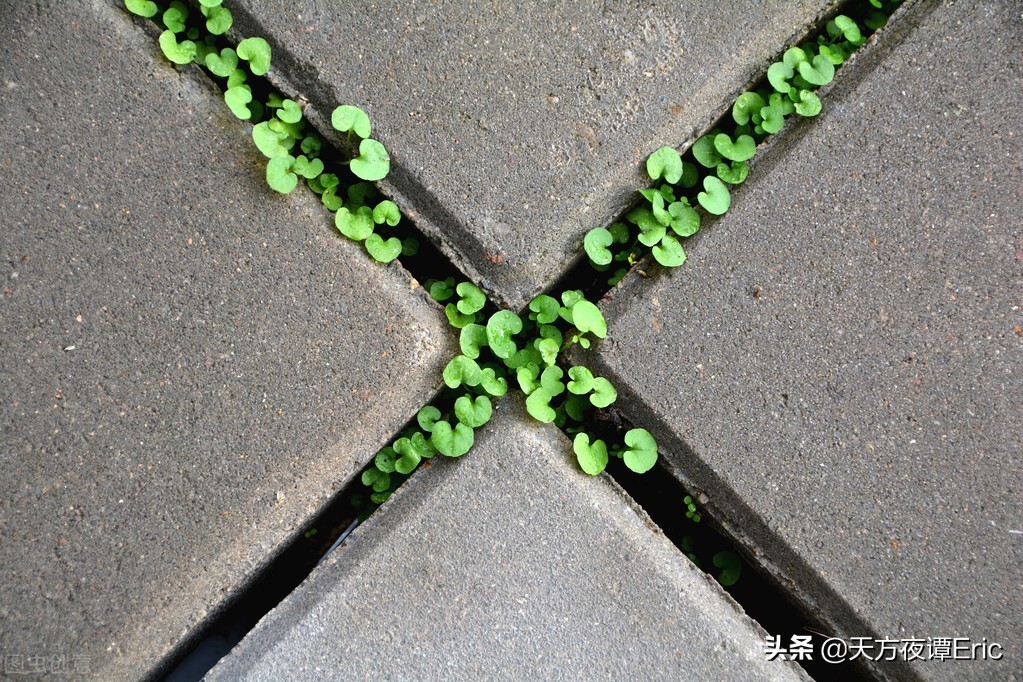 企业盈利分析,企业成长性分析论文