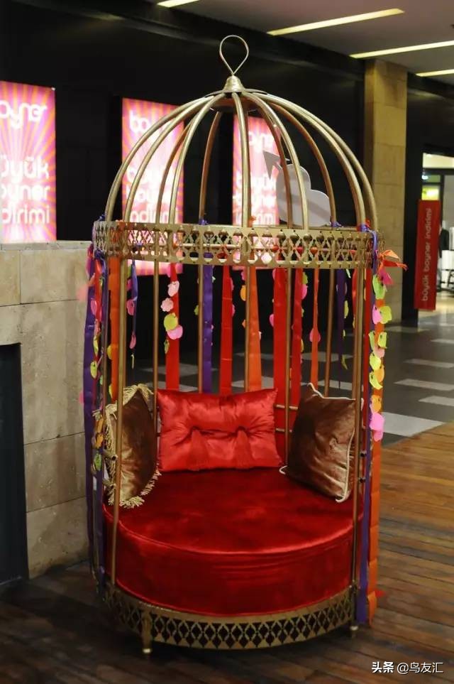 鸟窝为何这么干净,鸟窝怎样可以让鸟很喜欢