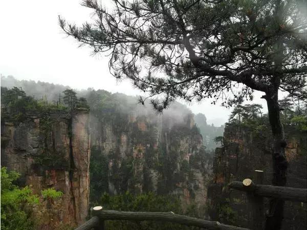 在张家界旅游遇到雨天,去张家界旅游哪个风景最好