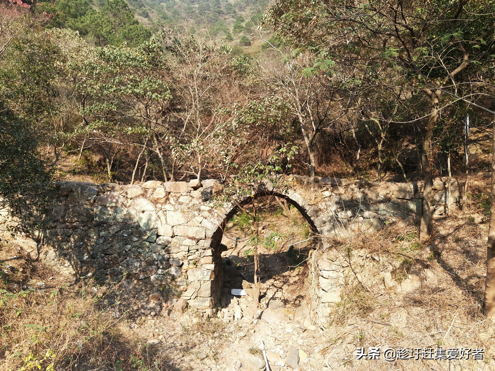 北江渔村河鲜栈道,清远白庙渔村攻略