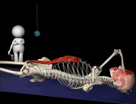 腹肌锻炼七天出腹肌八个动作,哪些动作可以练腹肌让腹肌更明显