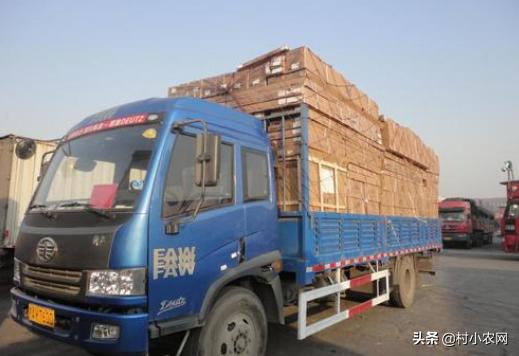 农村干什么生意最好最赚钱项目,农村做什么致富最快