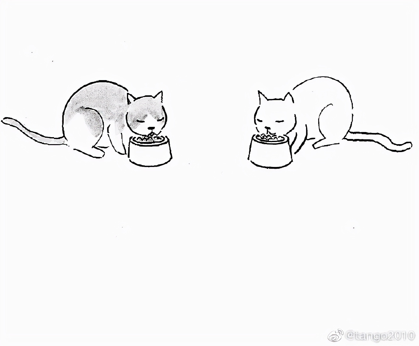 60张脑洞大开的沙雕漫画,张张有笑点,看完忍不住笑出猪叫