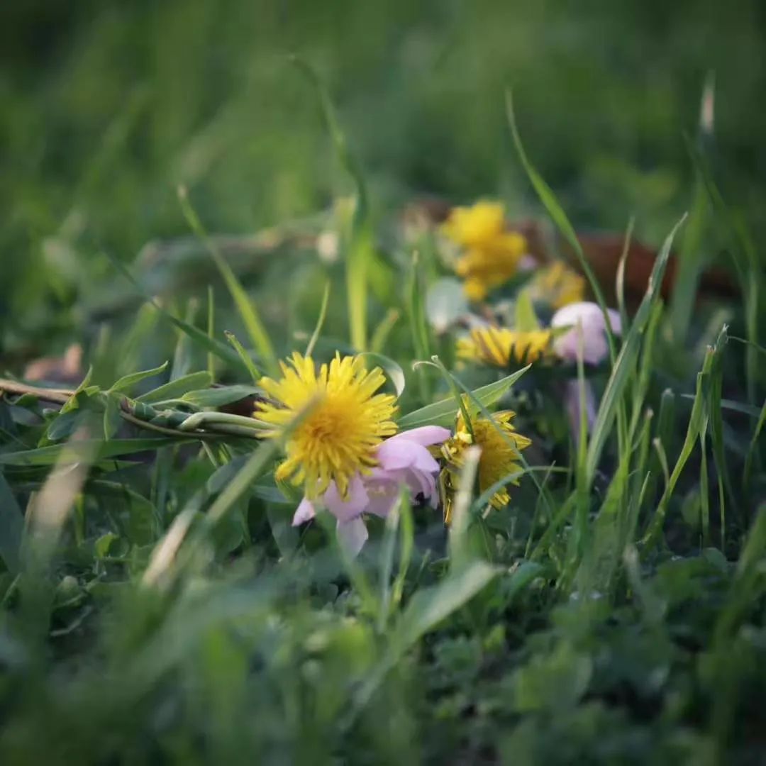 小李阿姨视频,小李阿姨生活视频