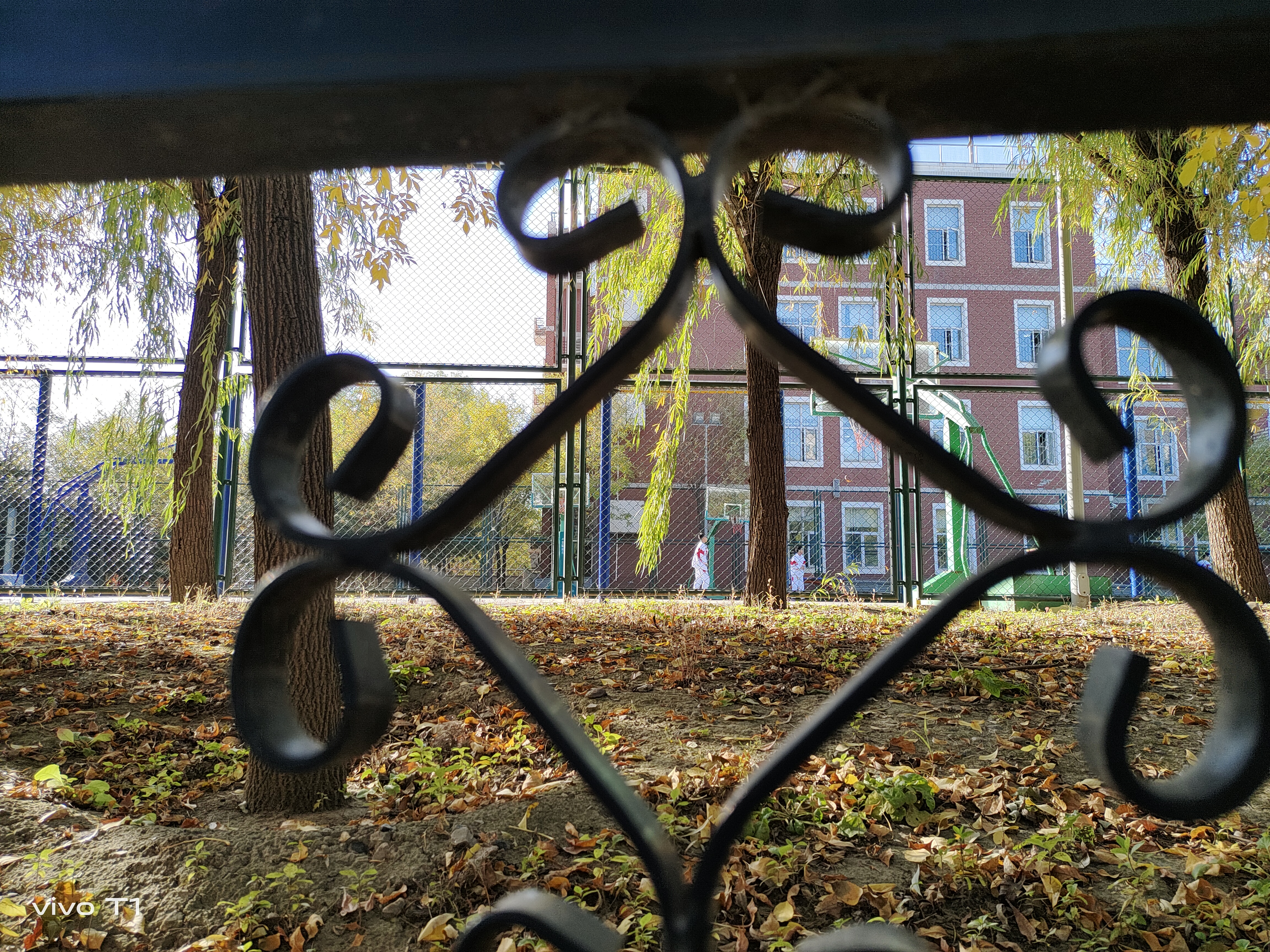 vivoT1全面评测,vivot1日常使用值不值得入手