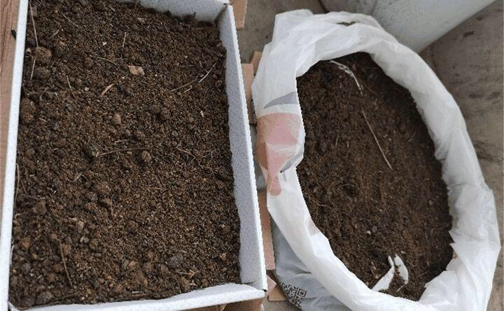 养花旧土怎样变营养土,想养花没有阳台怎么办