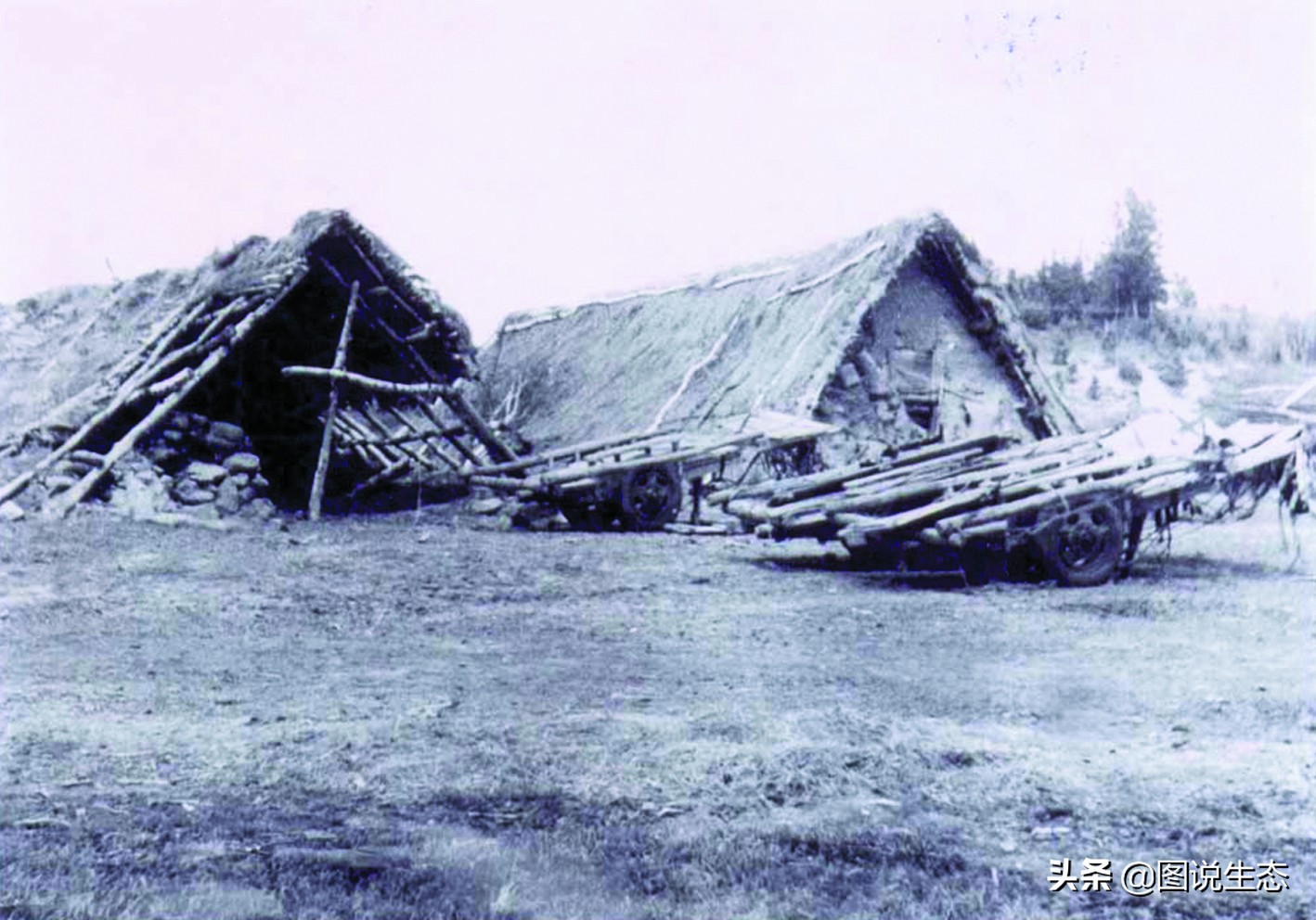写出最真实的塞罕坝，永远是居住在塞罕坝的主人，请听他们如何说