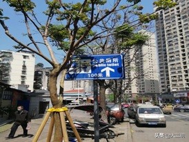 城市双修项目,城市双修建设效果图