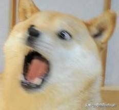 日本皇室特别喜欢给动物封官,每一个级别都比大名高