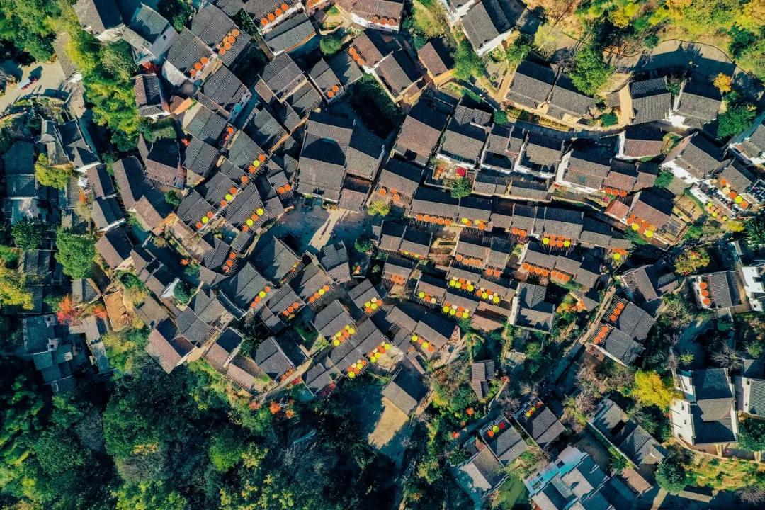 这才是中国最美的乡村,最值得去的鲜花小镇