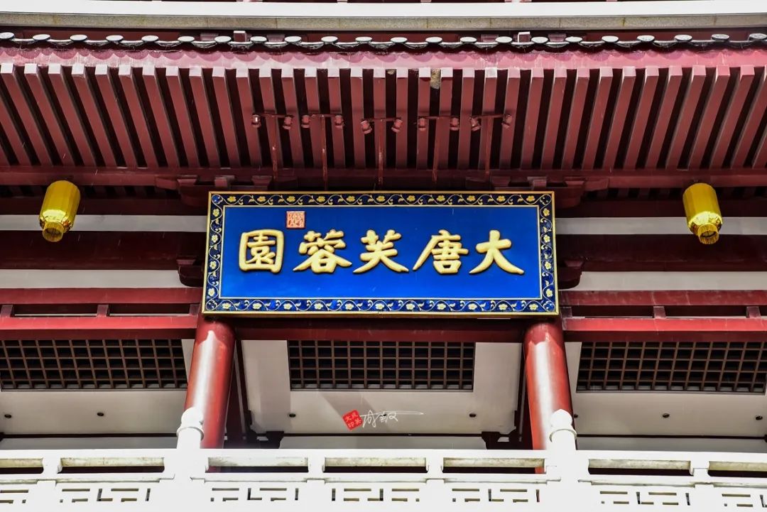 西安大唐芙蓉园门票65岁免票信息,大唐芙蓉园2024免票怎么预约