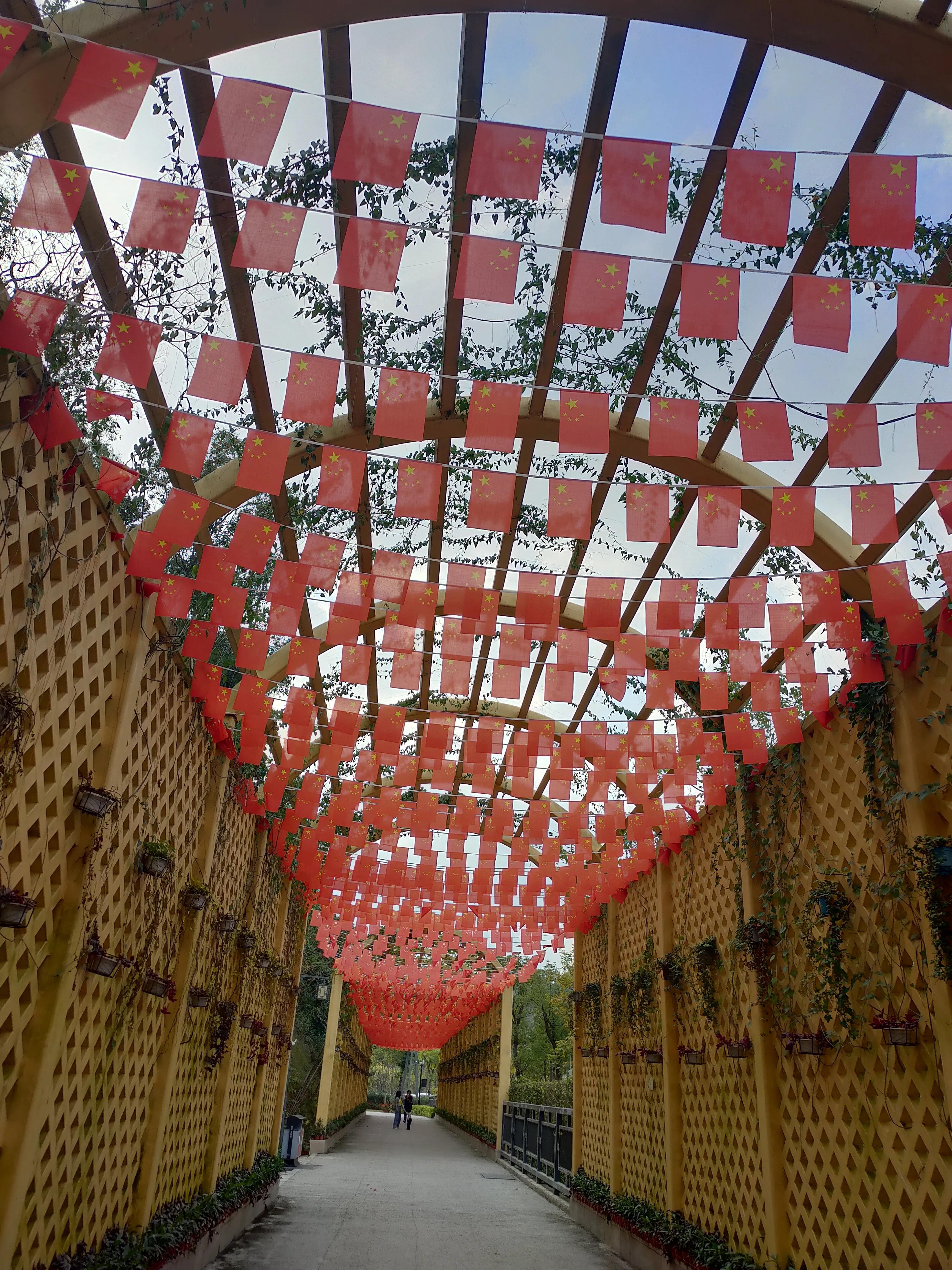 偌大的城市我的栖身之处在何处,偌大的城市容不下一个漂泊的灵魂