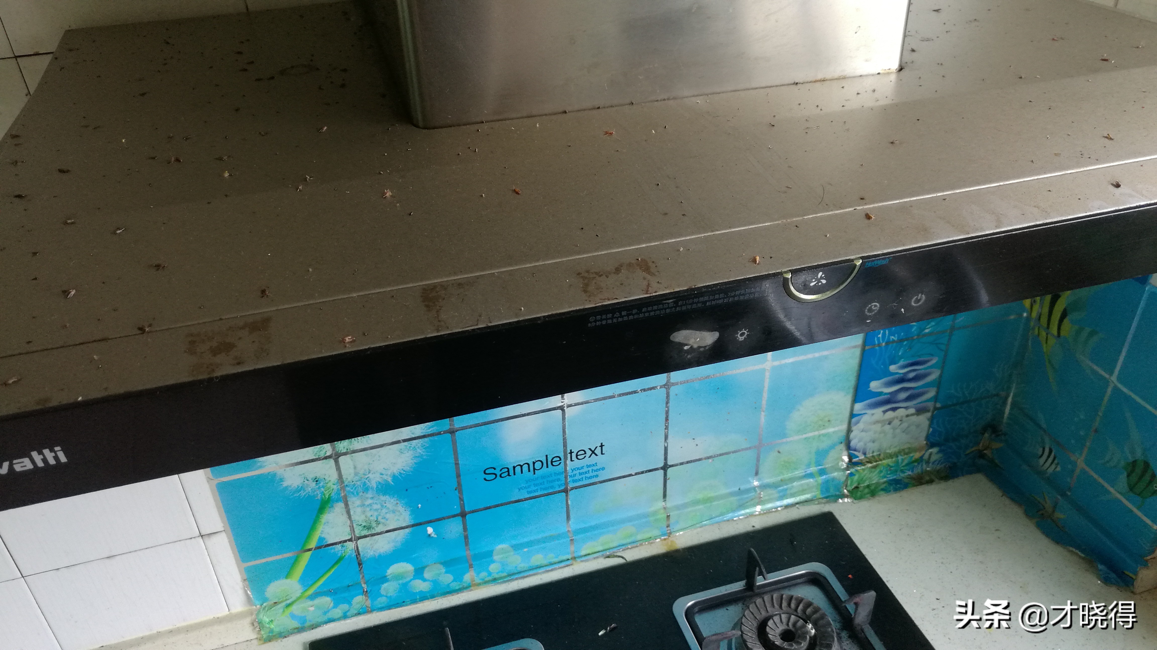 家用厨房清洁防油贴,纯碱片怎样清洗油烟机