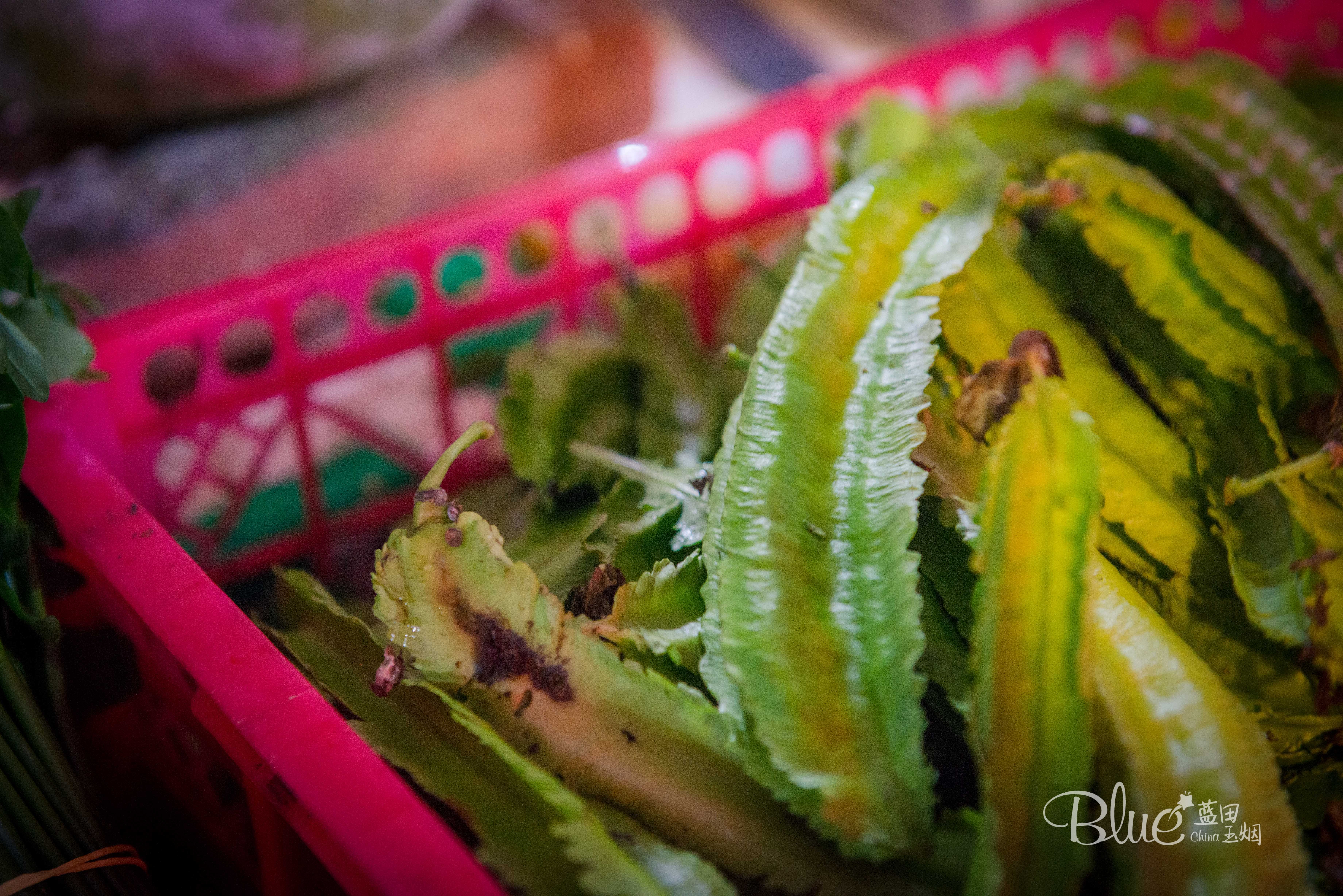 海口海鲜市场哪里比较好,海口板桥海鲜市场海鲜新鲜吗