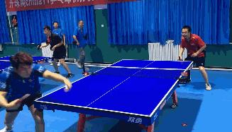 乒乓球争议球的基本知识,乒乓球争议球知识