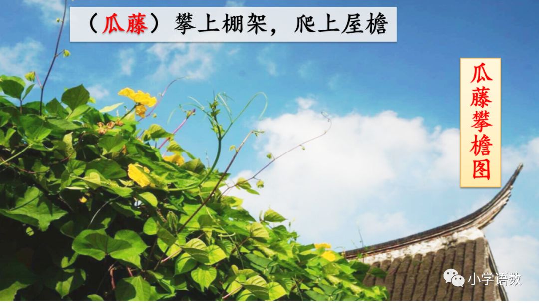 四年级下册乡下人家小练笔350字,四年级语文下册繁星精讲教学视频