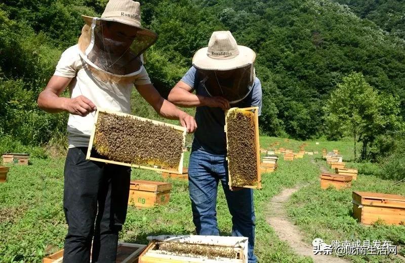 我叫成县，这是我2019年的自拍照