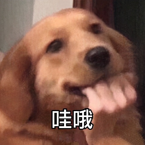 上班族午饭微波炉加热,微波炉解决一日三餐