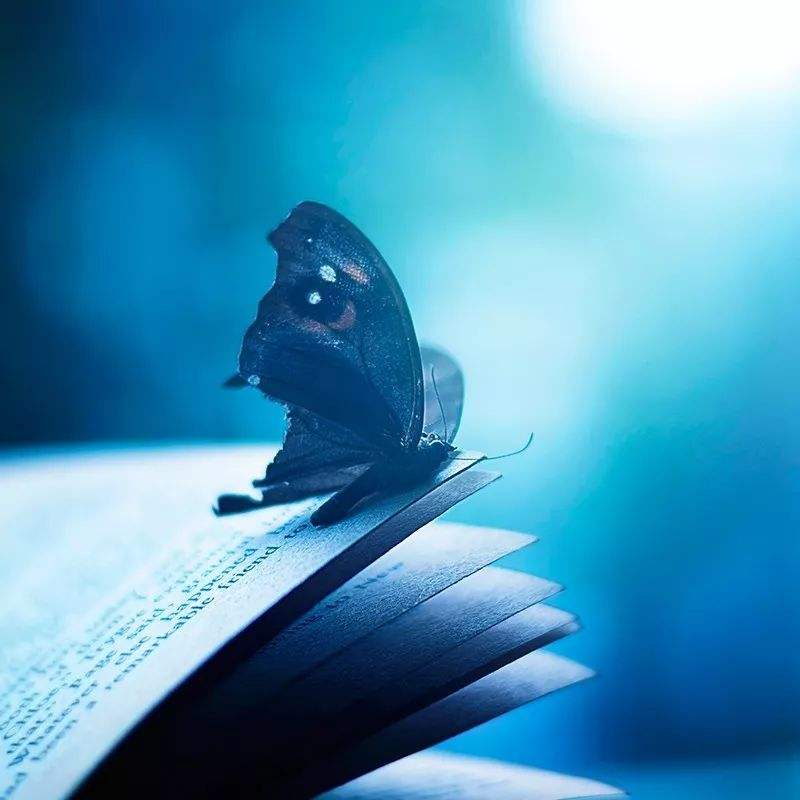 世界变了我们怎么办,这个世界已经变了不再适合我们