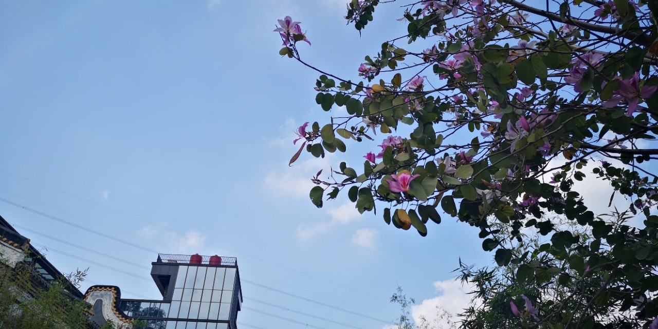 深圳甘坑客家小镇春节旅游,深圳古镇甘坑客家小镇攻略