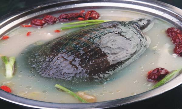杀甲鱼煲汤正确方法,甲鱼从杀到做汤全过程