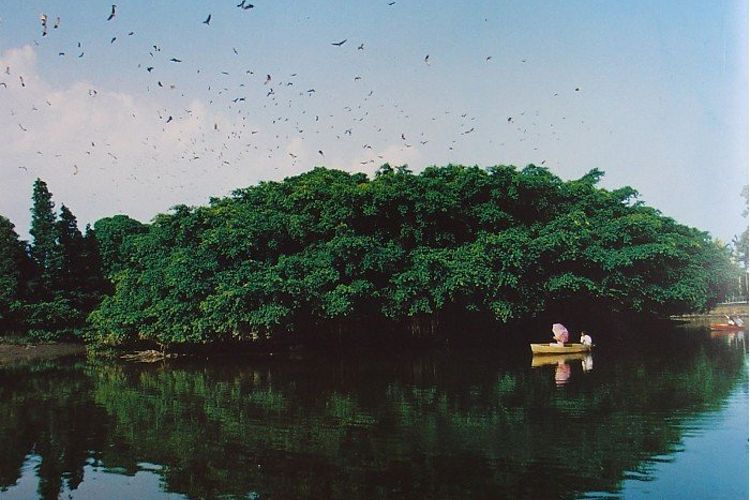江门碉楼,碉楼之乡江门开平