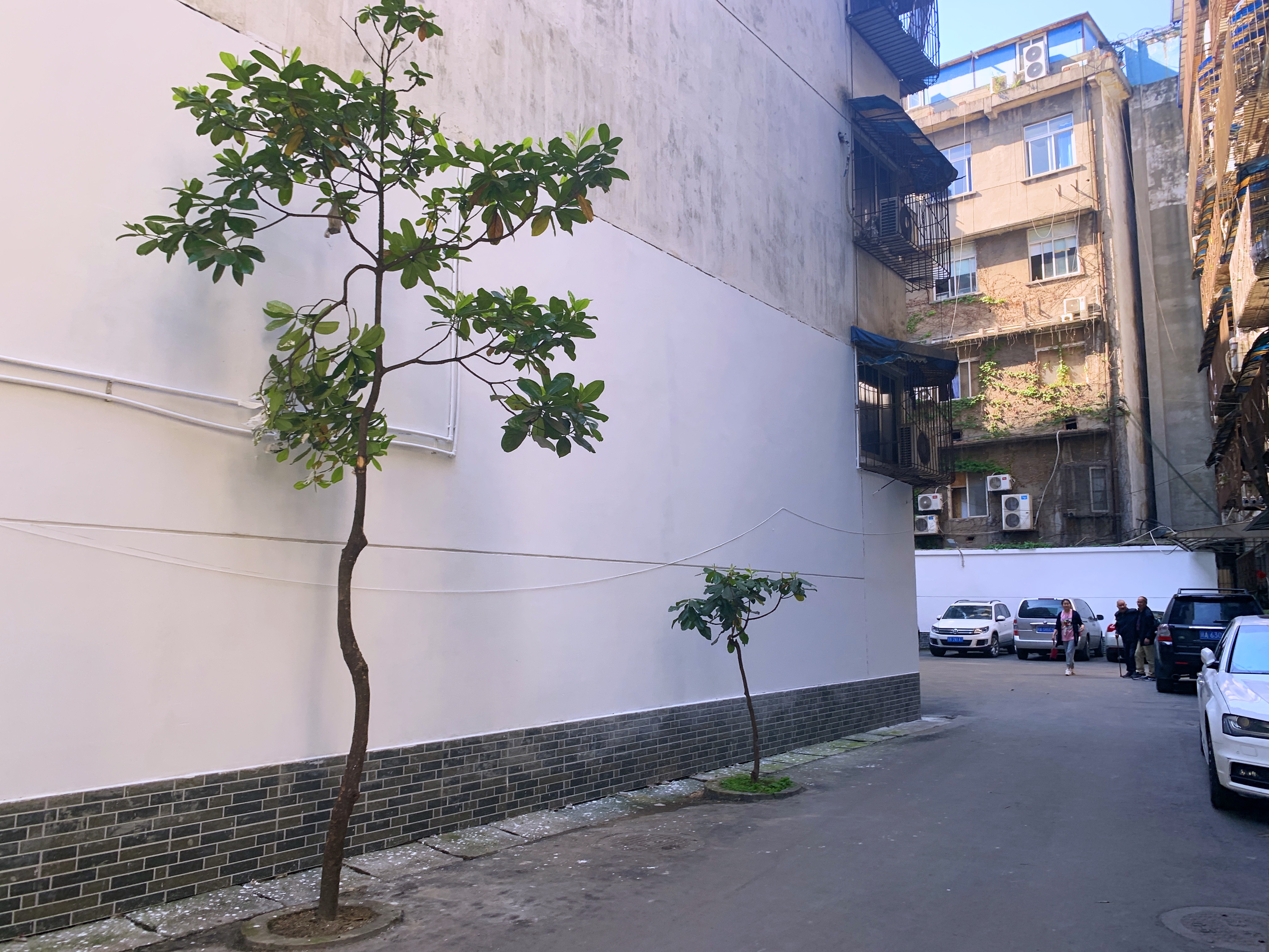 2021幸福感城市成都,2021最具幸福感城市成都